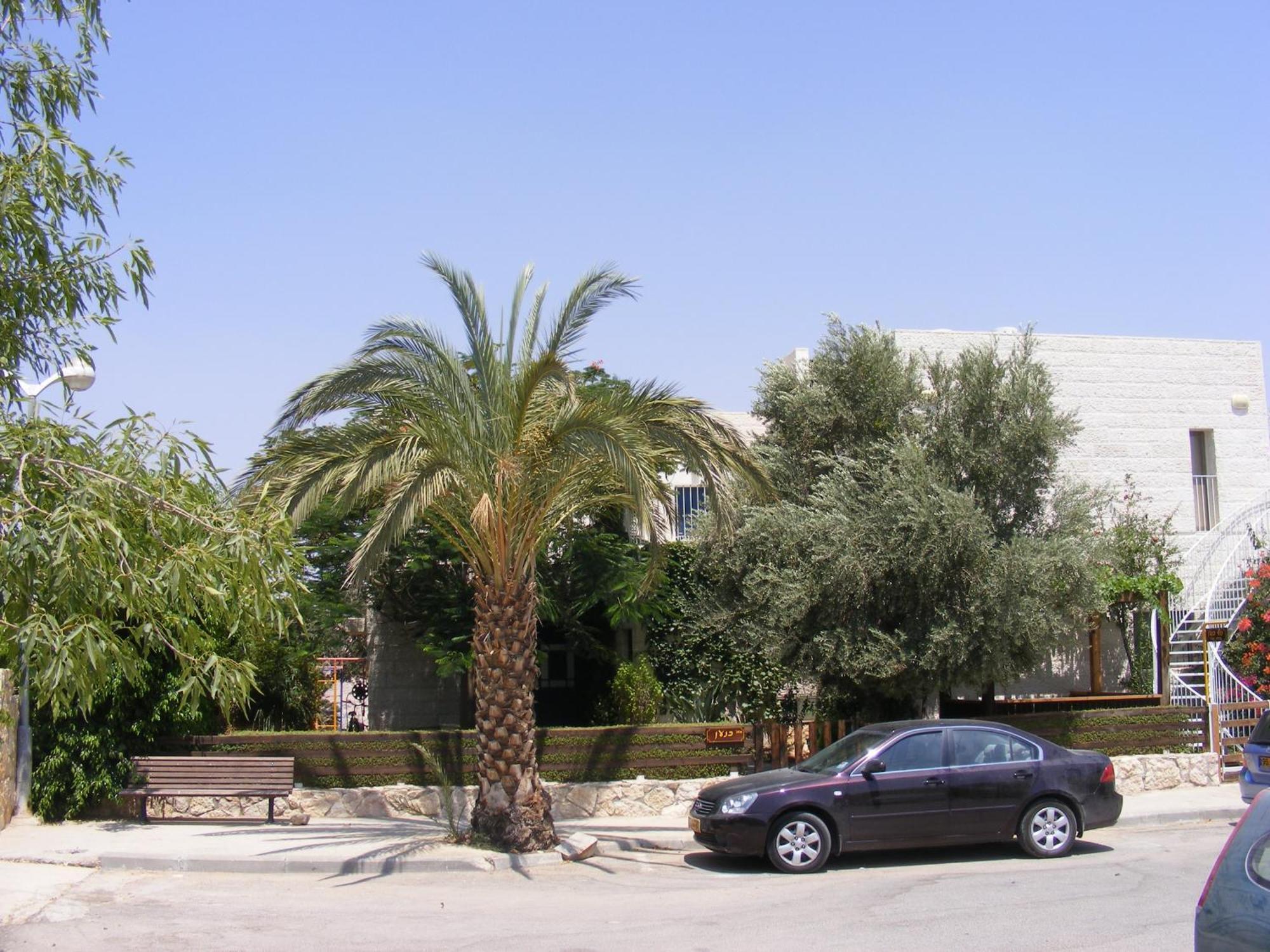 Nof Canaan Kfar Adumim Екстериор снимка